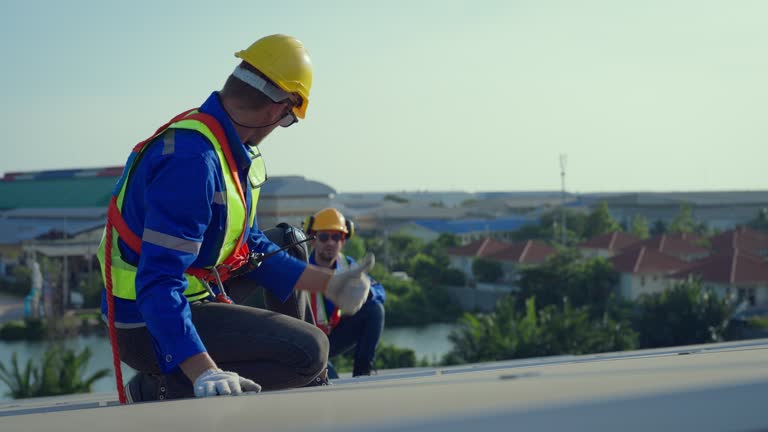 Best Roof Insulation Installation  in Orange Grove, TX