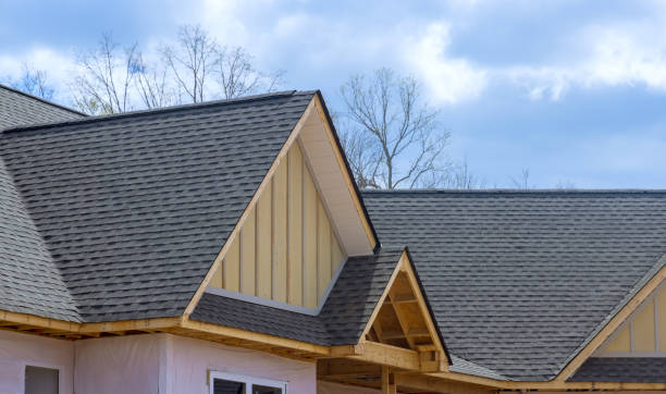 Best Sheet Metal Roofing  in Orange Grove, TX